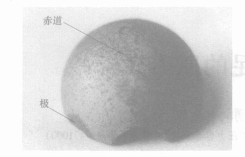 钢球压碎载荷值不足的原因