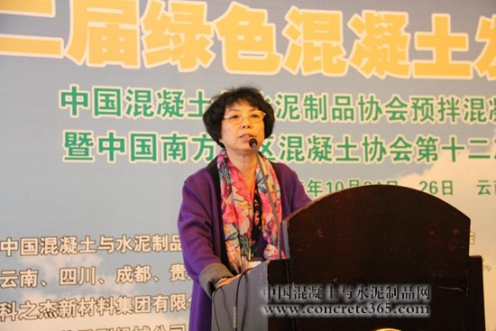 深圳市水泥及制品协会会长 陈爱芝