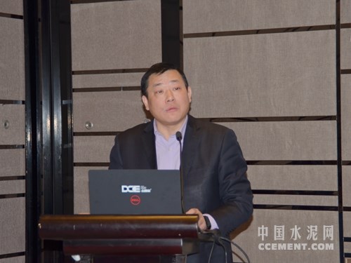 中国电力企业联合会科技中心主任蔡义清
